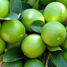 PULPOR Limón Tahití 5kg