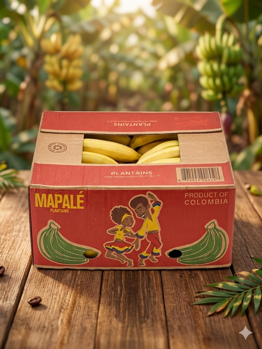 Carton Banane Plantain Frais Mapalé 22kg